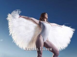 Aerial_Leigh