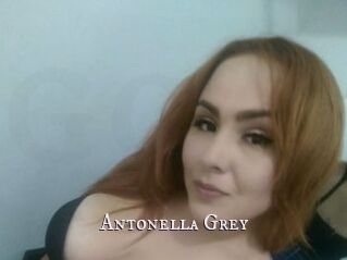 Antonella_Grey