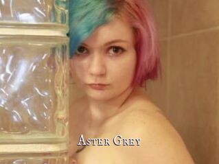 Aster_Grey