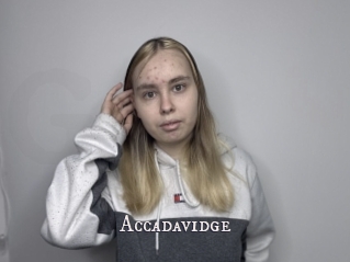 Accadavidge