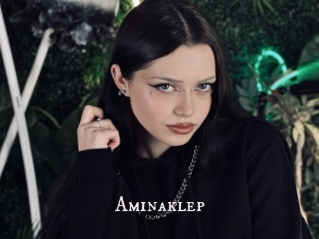 Aminaklep