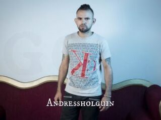 Andressholguin