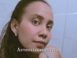 Antonellabrunettee