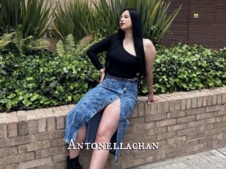 Antonellachan