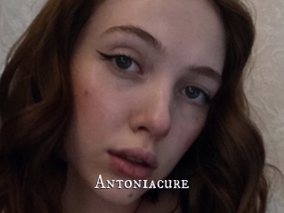 Antoniacure