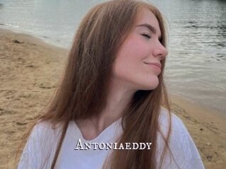 Antoniaeddy