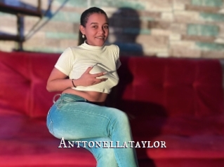 Anttonellataylor