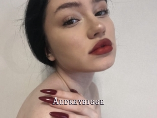 Audreybigge