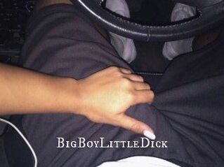 BigBoyLittleDick