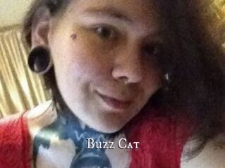 Buzz_Cat