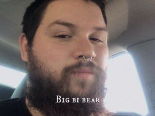 Big_bi_bear