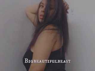 Bigbeautifulbeast