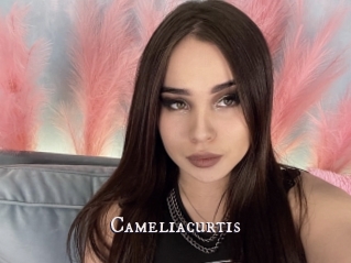 Cameliacurtis