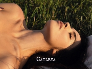 Catleya