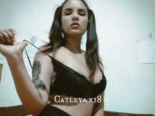 Catleya_x18