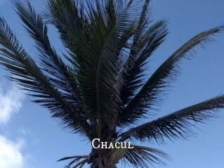 Chacul