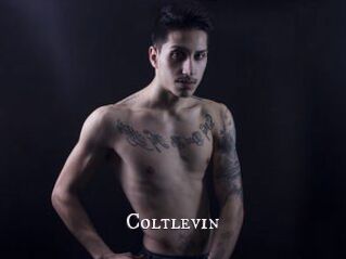 Coltlevin