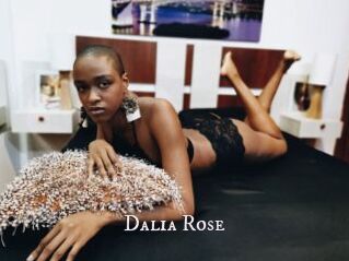 Dalia_Rose