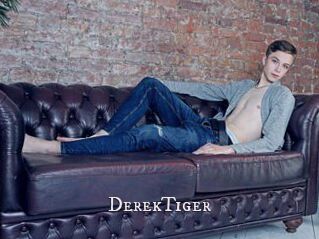 DerekTiger