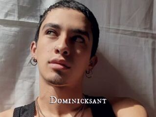 Dominicksant