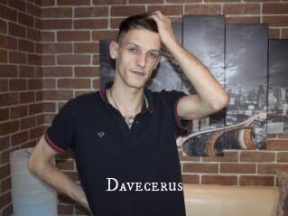 Davecerus