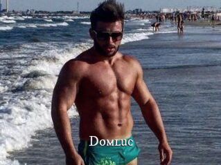 Domluc