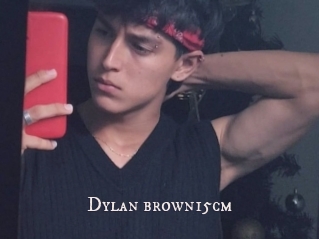 Dylan_brown15cm