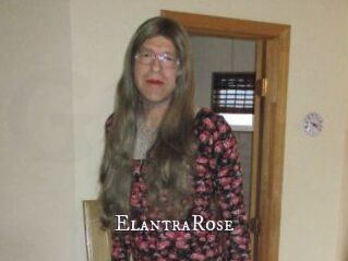 Elantra_Rose