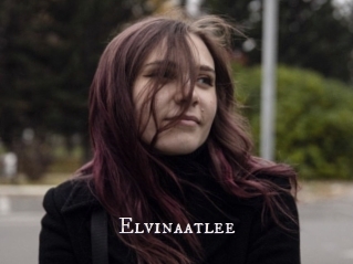 Elvinaatlee