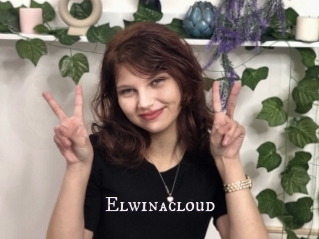 Elwinacloud