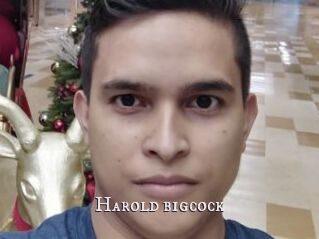 Harold_bigcock