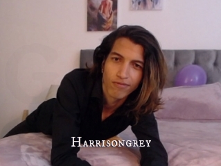 Harrisongrey