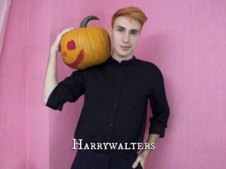 Harrywalters