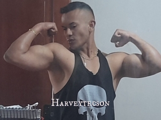 Harveytecson