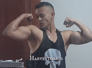 Harveytorres