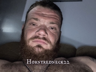 Hornyredneck22