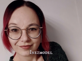 Inezmodel