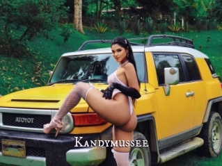 Kandymussee