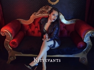 Kityevants