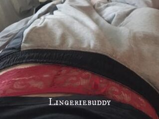 Lingeriebuddy