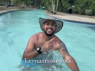 Levylatinobigcock