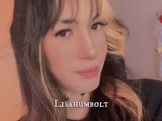 Lisahumbolt