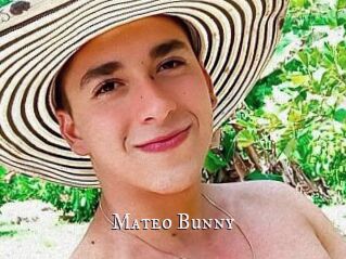 Mateo_Bunny