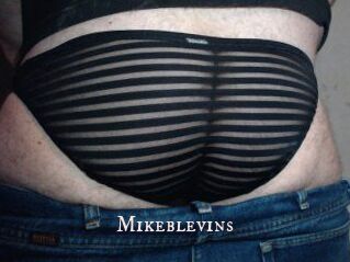 Mikeblevins