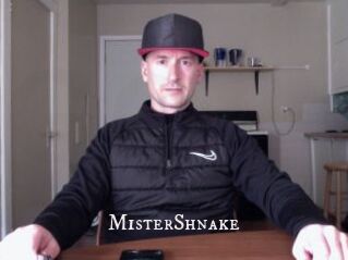 MisterShnake