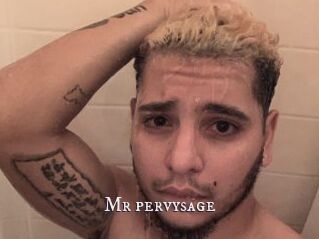 Mr_pervysage