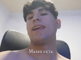 Mario_neta