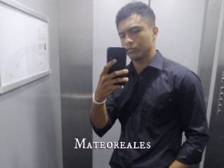 Mateoreales