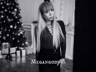 Megangodnes