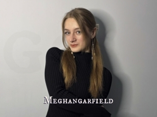 Meghangarfield